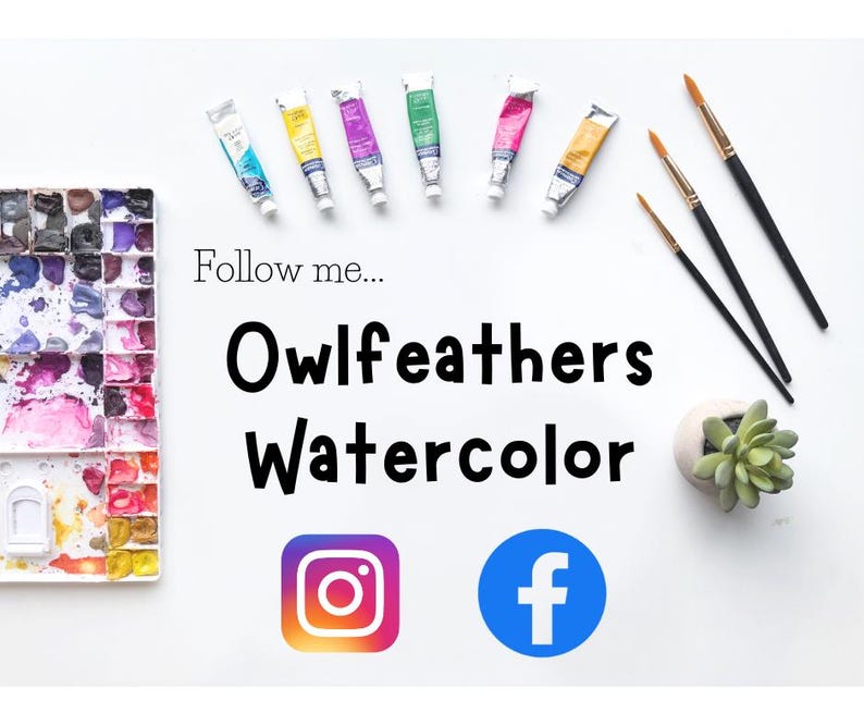 K&ouml;nnte beinhalten: Eine Aquarellpalette mit einer Vielzahl von Farben, Tuben mit Aquarellfarben, Pinseln und einer kleinen Sukkulente im Topf. Der Text "Owlfeathers Watercolor" und "Follow me..." ist auf dem Bild zu sehen. Social-Media-Icons f&uuml;r Instagram und Facebook sind ebenfalls enthalten.