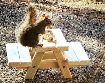 Squirrel Picnic Table Feeder