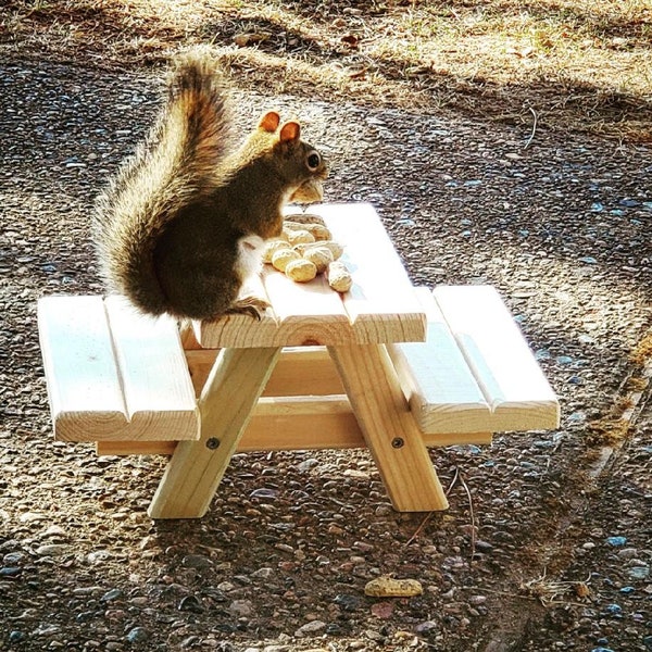 Squirrel Picnic Table Feeder