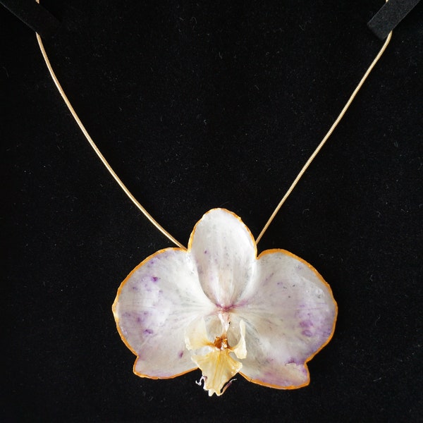 Collier en orchidée véritable