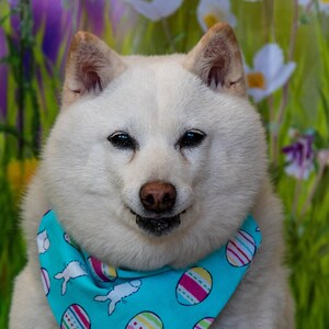Kana Happy Easter Style 1 - Pet Photography Greeting Card