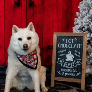 Liebe Grüße in die Weihnachtszeit! Weihnachtskarte Tierfotografie 2024 - 5er Set