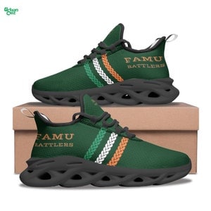 Custom FAMU RATTLERS Sneakers, Florida A&M University, Famu Rattlers Footwear, School Themed Rattlers Sneakers, Rattlers Custom Sneakers