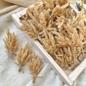 Boho boutonnière, Dry flower arrangements, wedding boho bouquet, bridesmaids, Rustic boutonnière made dried flower