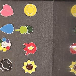 Poke Trainer Gym Badges