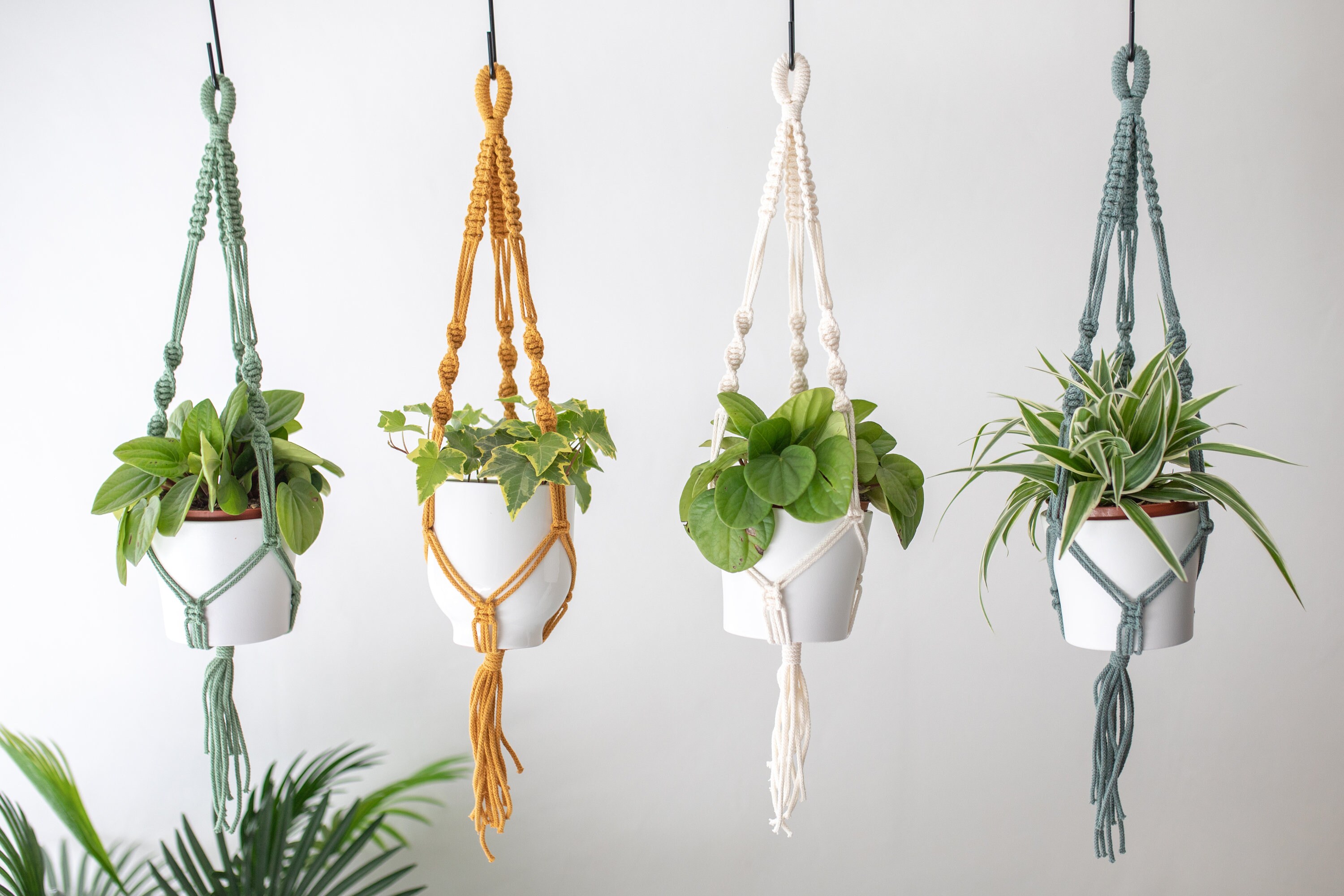 Macrame Plant Hanger, Plant Hanger, Macrame Planter, Modern Boho Rust…