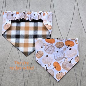 May include: Two dog bandanas. One has a white background with orange, brown, and grey pumpkins. The other has a brown, black, and white plaid pattern. The top bandana has a ruffled edge. The text "The're re-fur-able!" is visible.