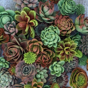 Sola Wood Succulents, wood succulents, succulents, airbrushed Wood Succulents, Sola Wood Flowers, Weddings, DIY Flowers, Gifts, Wood Flowers