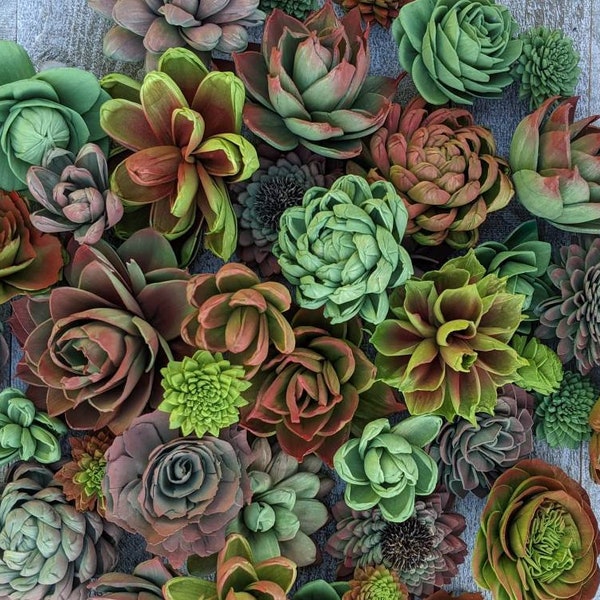 Sola Wood Succulents, wood succulents, succulents, airbrushed Wood Succulents, Sola Wood Flowers, Weddings, DIY Flowers, Gifts, Wood Flowers