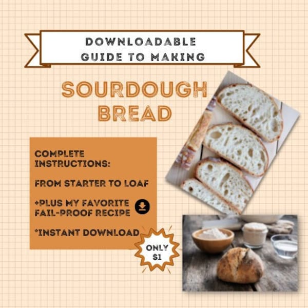 Instructions for Rehydrating Dried Sourdough Starter, Digital Download, Printable Recipe, How to Guide