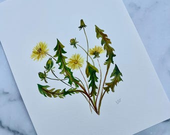 Denti di leone danzanti / Acquerello