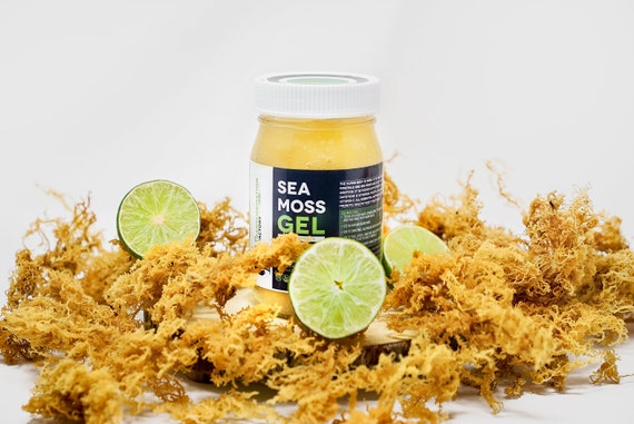 Sea Moss Gel Raw With Organic Key Limes Wildcrafted Sea Etsy