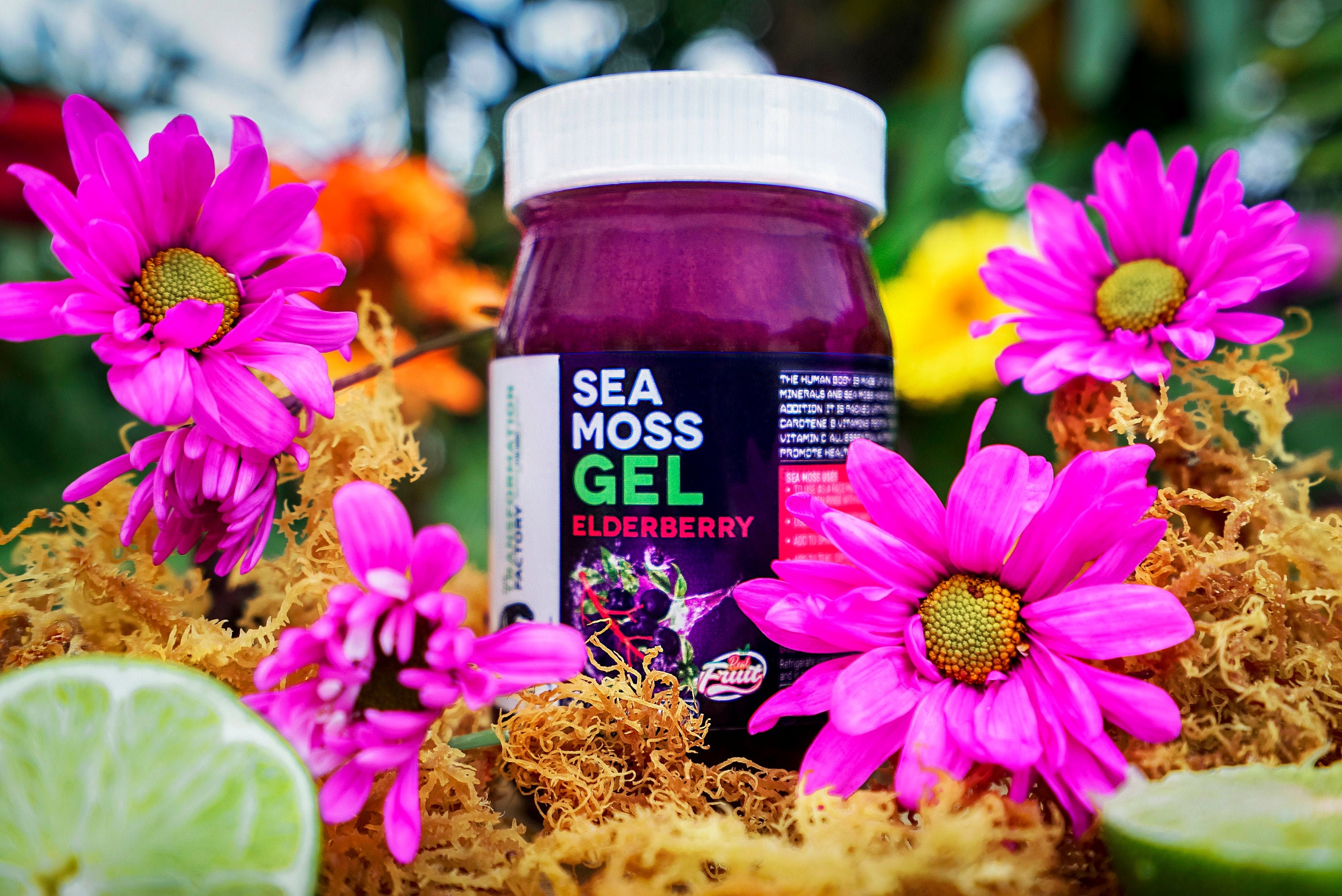 Elderberry Sea Moss Gel Flavored Sea Moss Gel. Wildcrafted Etsy