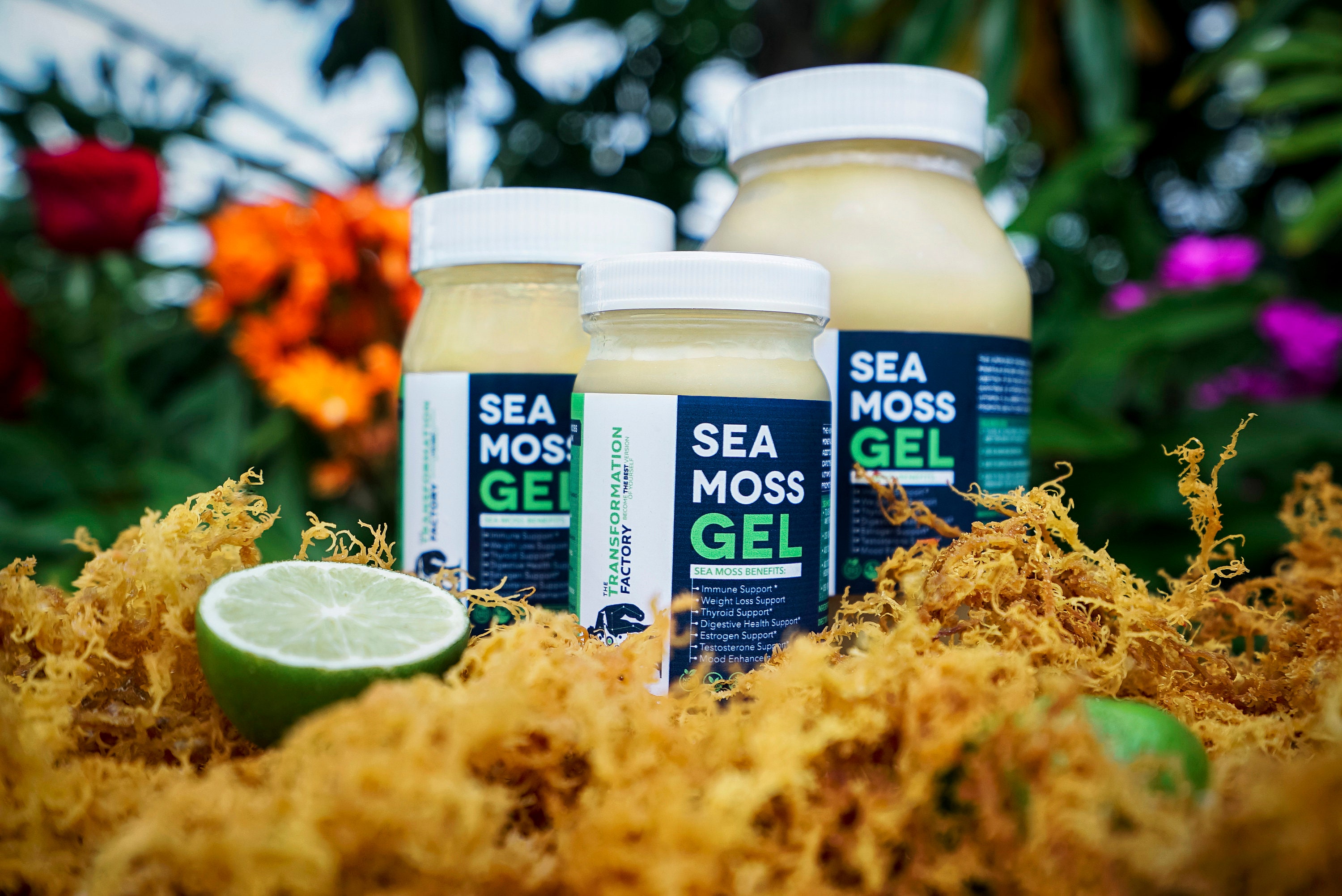 Mango Sea Moss Gel Flavored Sea Moss Gel. Wildcrafted Sea Etsy