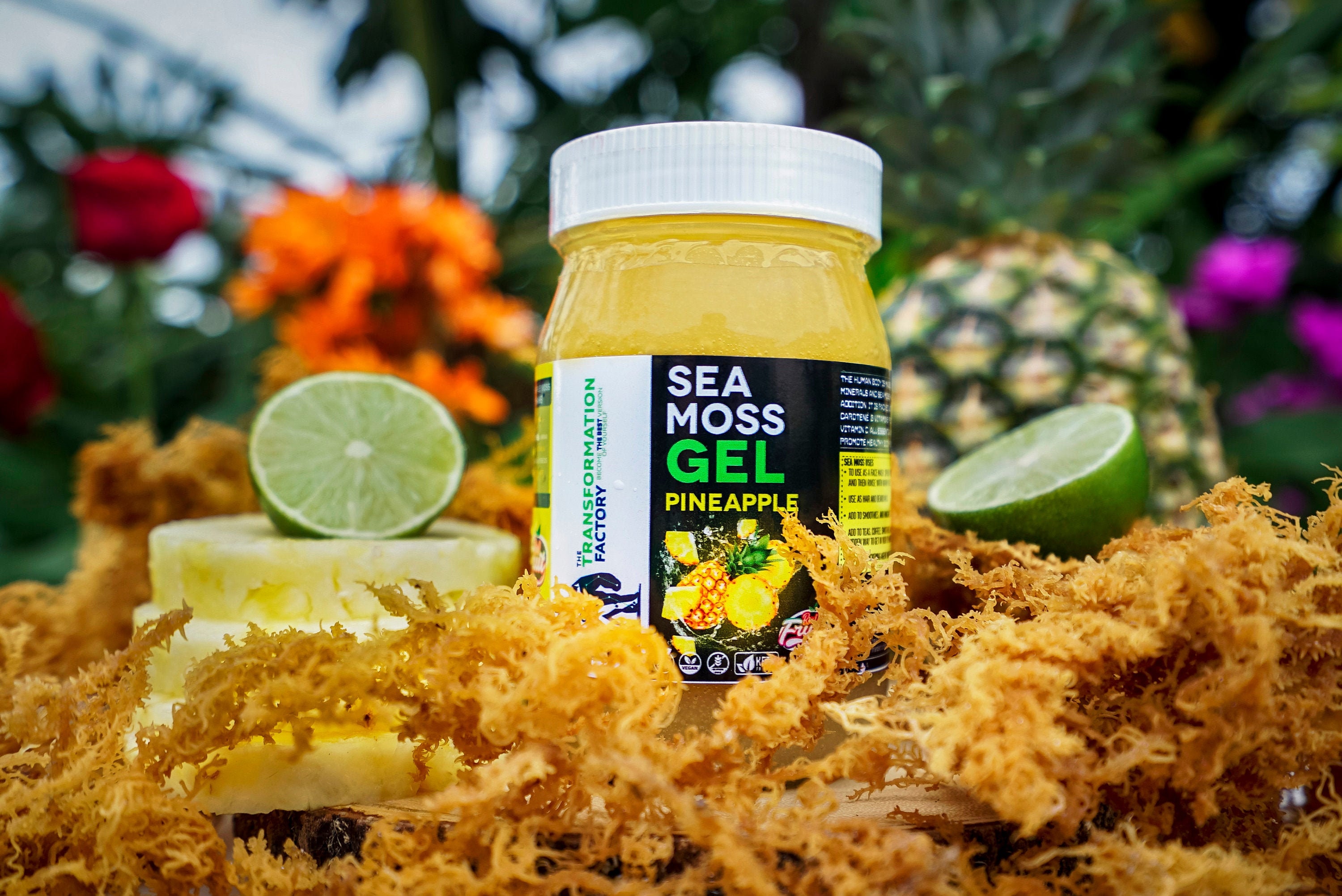 Pineapple Sea Moss Gel Recipe - Find Vegetarian Recipes