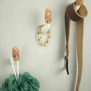 May include: Three white ceramic hooks shaped like mushrooms with brown tops. A green bath pouf hangs from one hook, a brown leather belt hangs from another, and a gold beaded necklace hangs from the third.