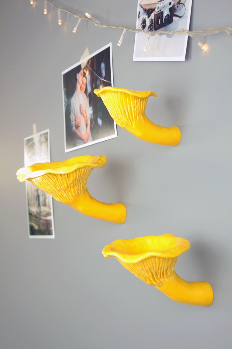 Сhanterelle mushroom shelf, Mushroom decor, Mushroom ornament, Floating shelves, Plant shelf, Unique shelves, Hanging shelves Mushroom light image 9