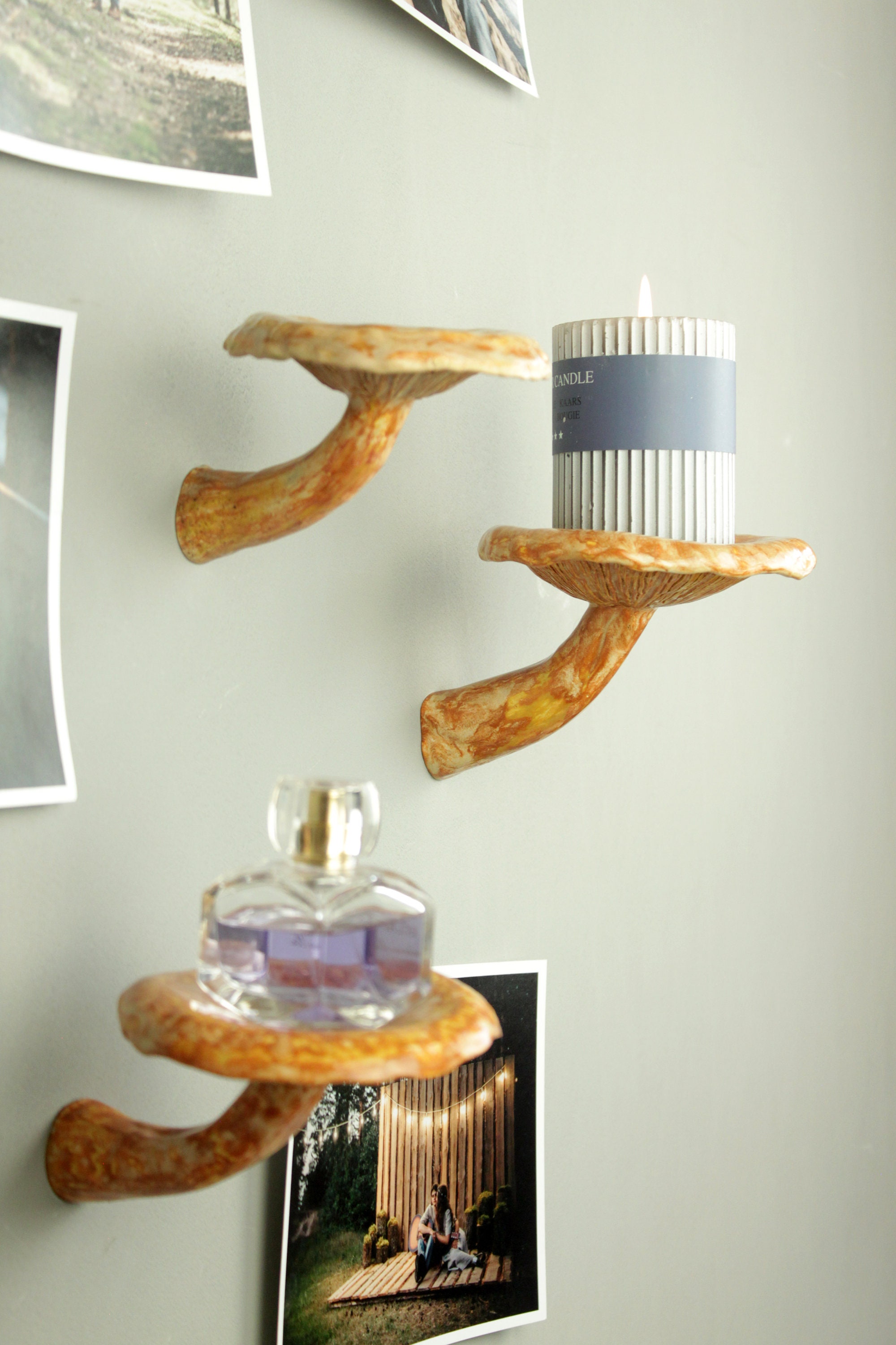 Mushroom Shelf Mushroom Decor Hanging Shelves Floating Etsy UK