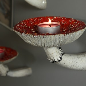 Evening picture. Candle's fire. The candles are in the mushroom shelves.