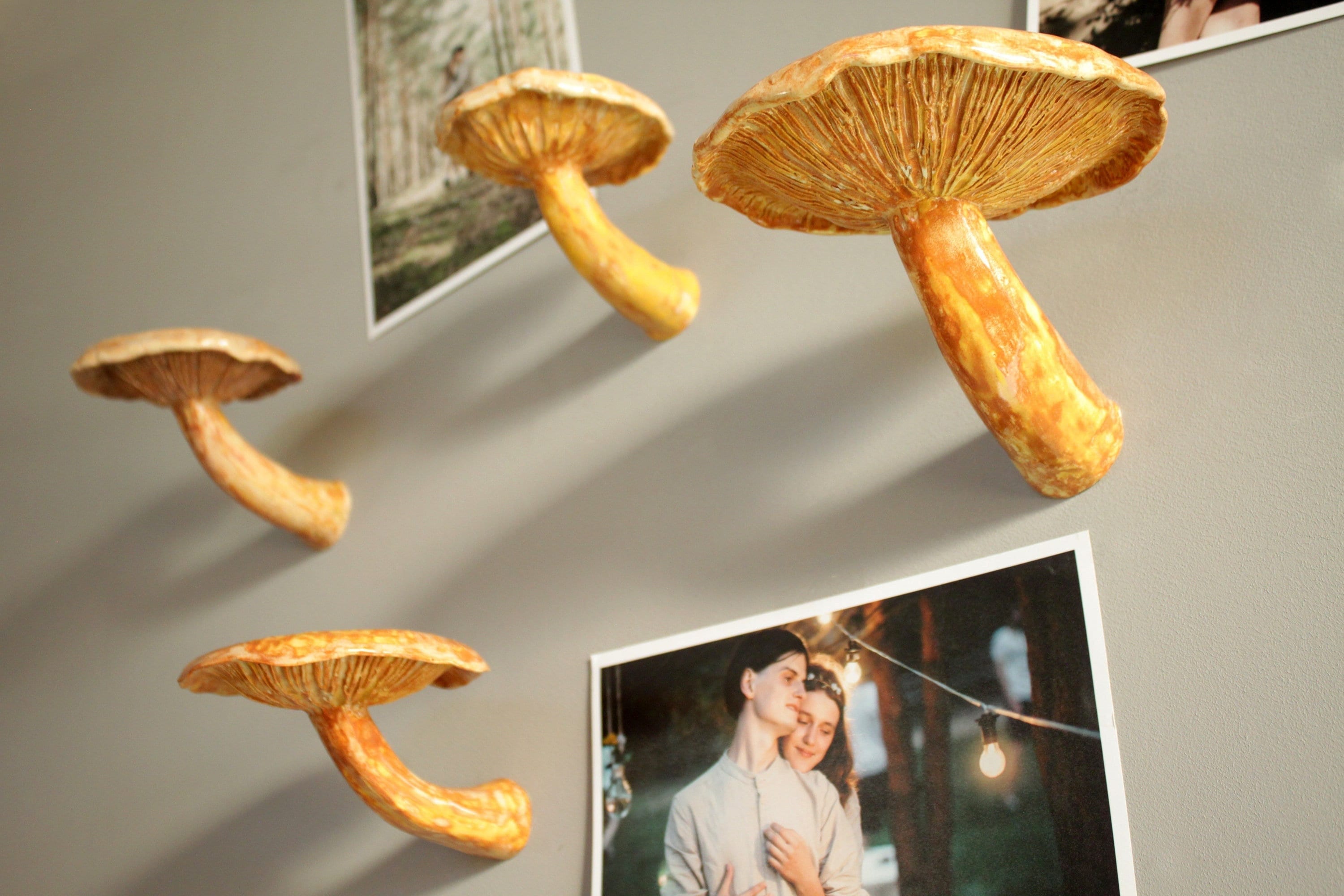 Mushroom Shelf Mushroom Decor Hanging Shelves Floating Etsy UK