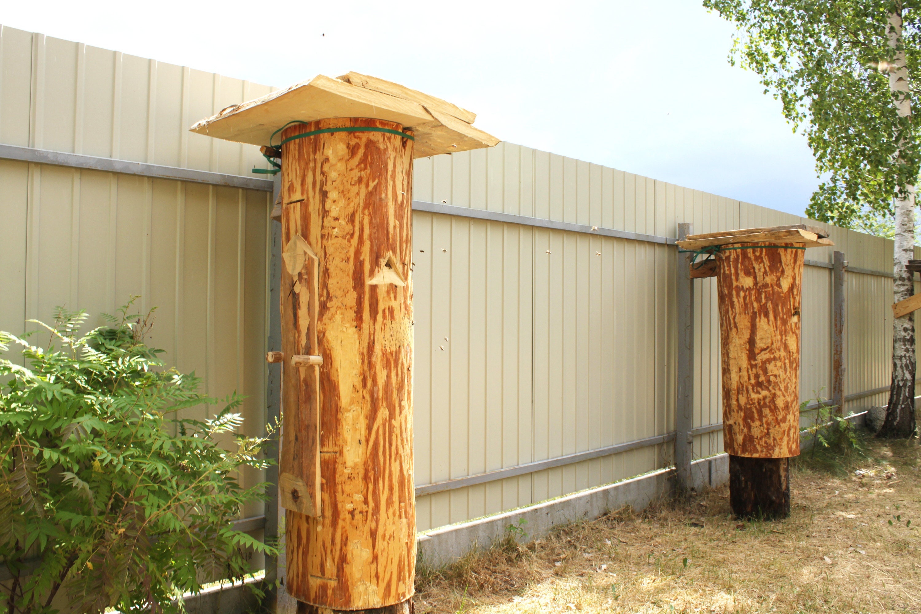 Log Beehive for Natural Beekeeping, Zeidlerei Klotzbeute