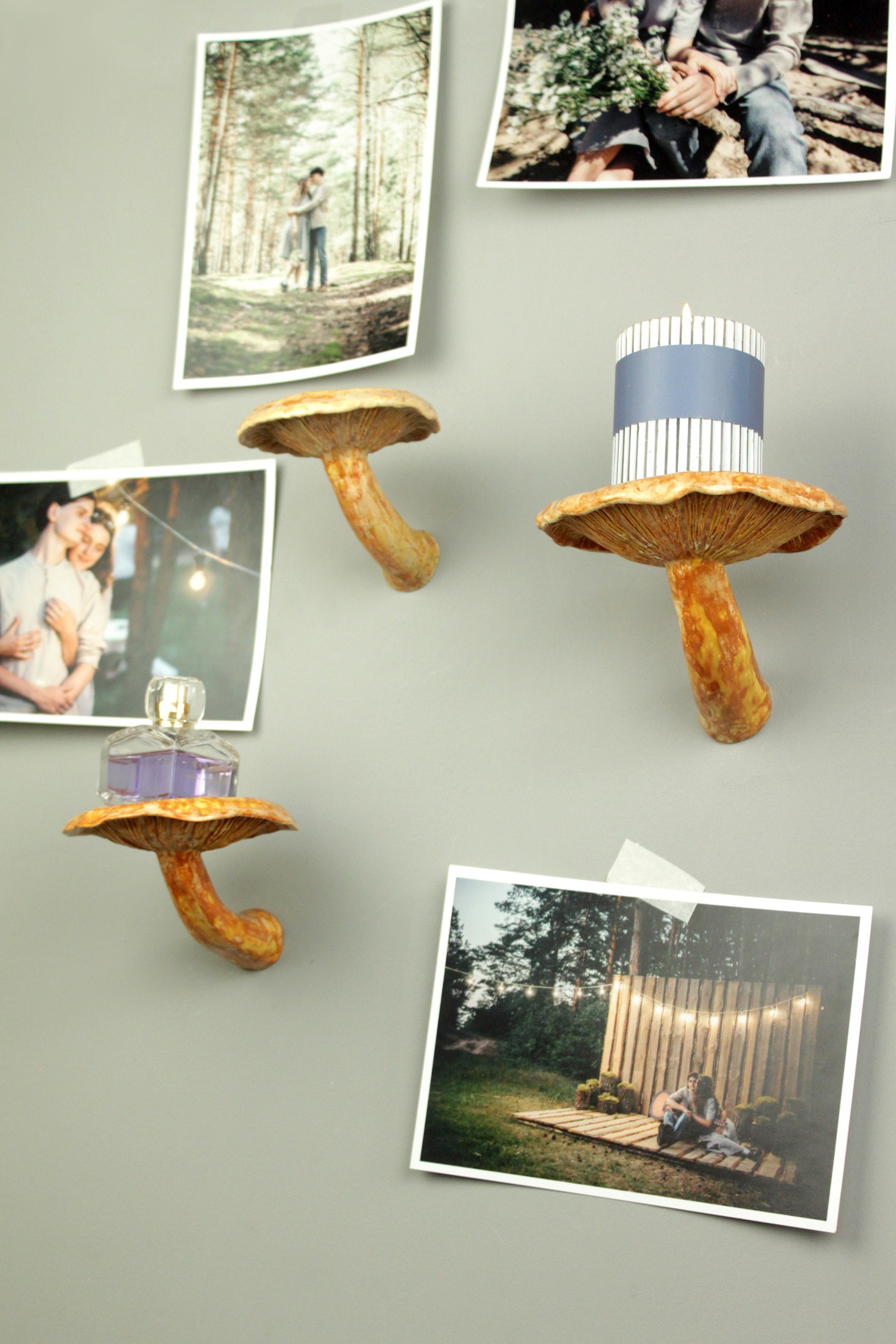 Mushroom Shelf Mushroom Decor Hanging Shelves Floating Etsy UK