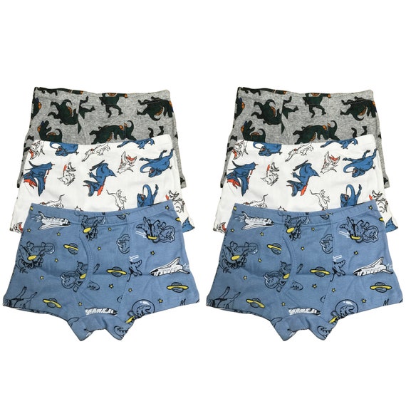 6 PK Cotton Toddler Little Boys Kids Dinosaur Underwear Boxer Briefs Size  4T 5T 6T 7T 8T -  Canada