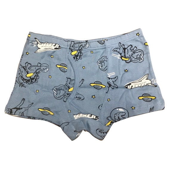 6 PK Cotton Toddler Little Boys Kids Dinosaur Underwear Boxer Briefs Size 4T  5T 6T 7T 8T -  Canada
