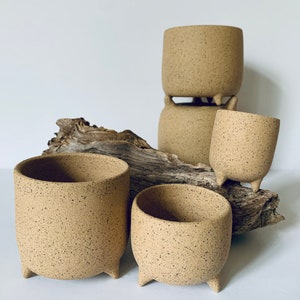May include: A collection of beige ceramic planters with a speckled texture. The planters are cylindrical with three small feet. Some are stacked, and others are arranged on a piece of driftwood against a white background.
