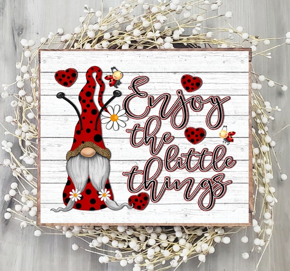 Spring /& Summertime GNOME SWEET GNOME w//Ladybug SIGN Wall Art Door Hanger Plaque