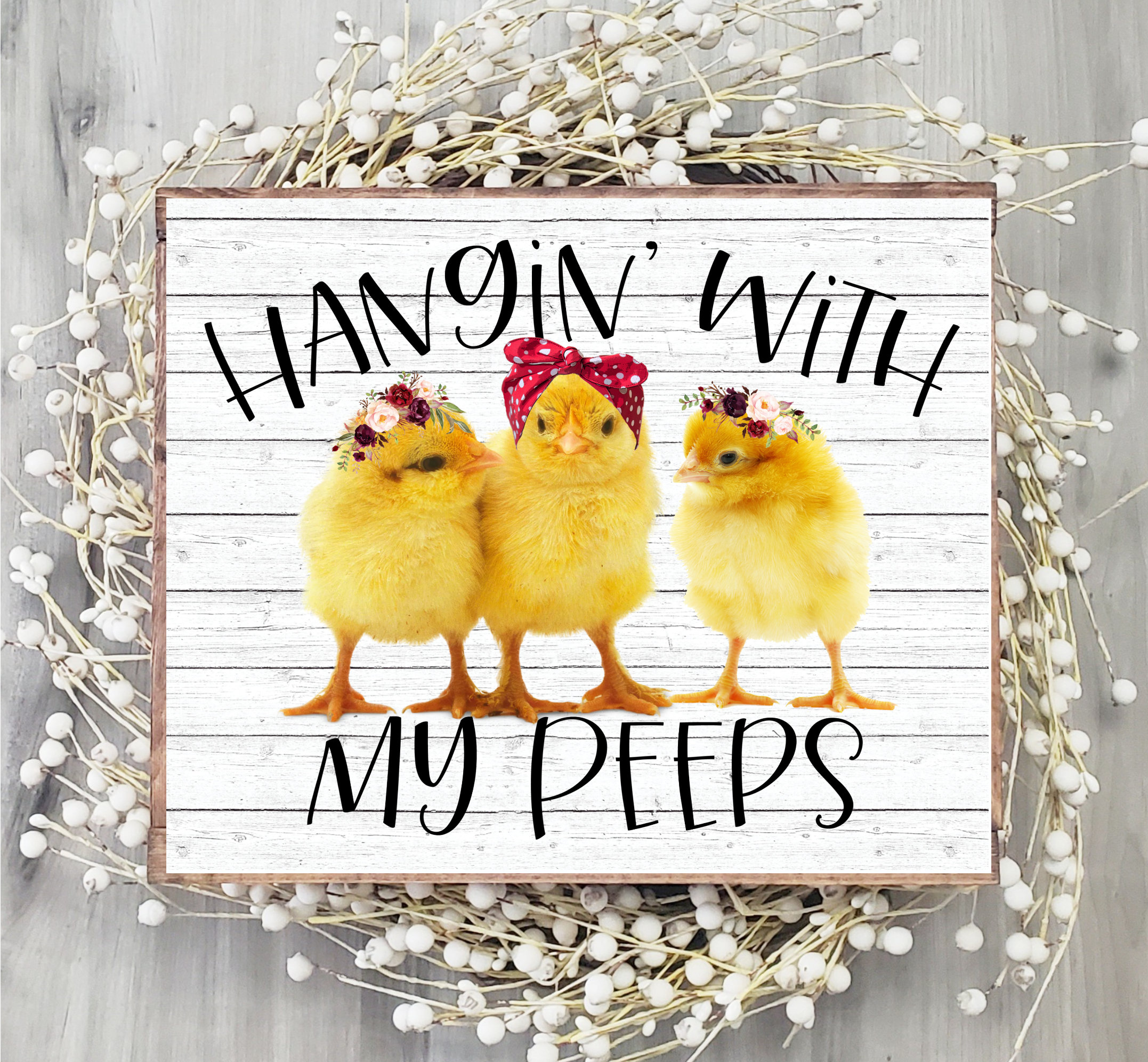 Hanging With My Chicks Hanging With My Chicks