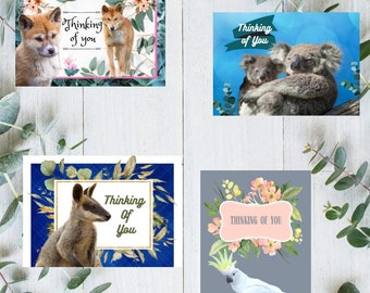 Postcards A6 set Australian Animals (Set of 4)