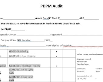 MDS PDPM Additional Documentation Request - MDS Audit Tool