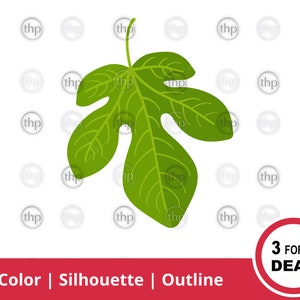 Puede incluir: Ilustración de una hoja de higuera verde con venas detalladas y un tallo. La hoja está sobre un fondo blanco con un patrón repetido de las letras "thp". Un círculo rojo con el texto "3 FOR 1 DEAL" está en la esquina inferior derecha.