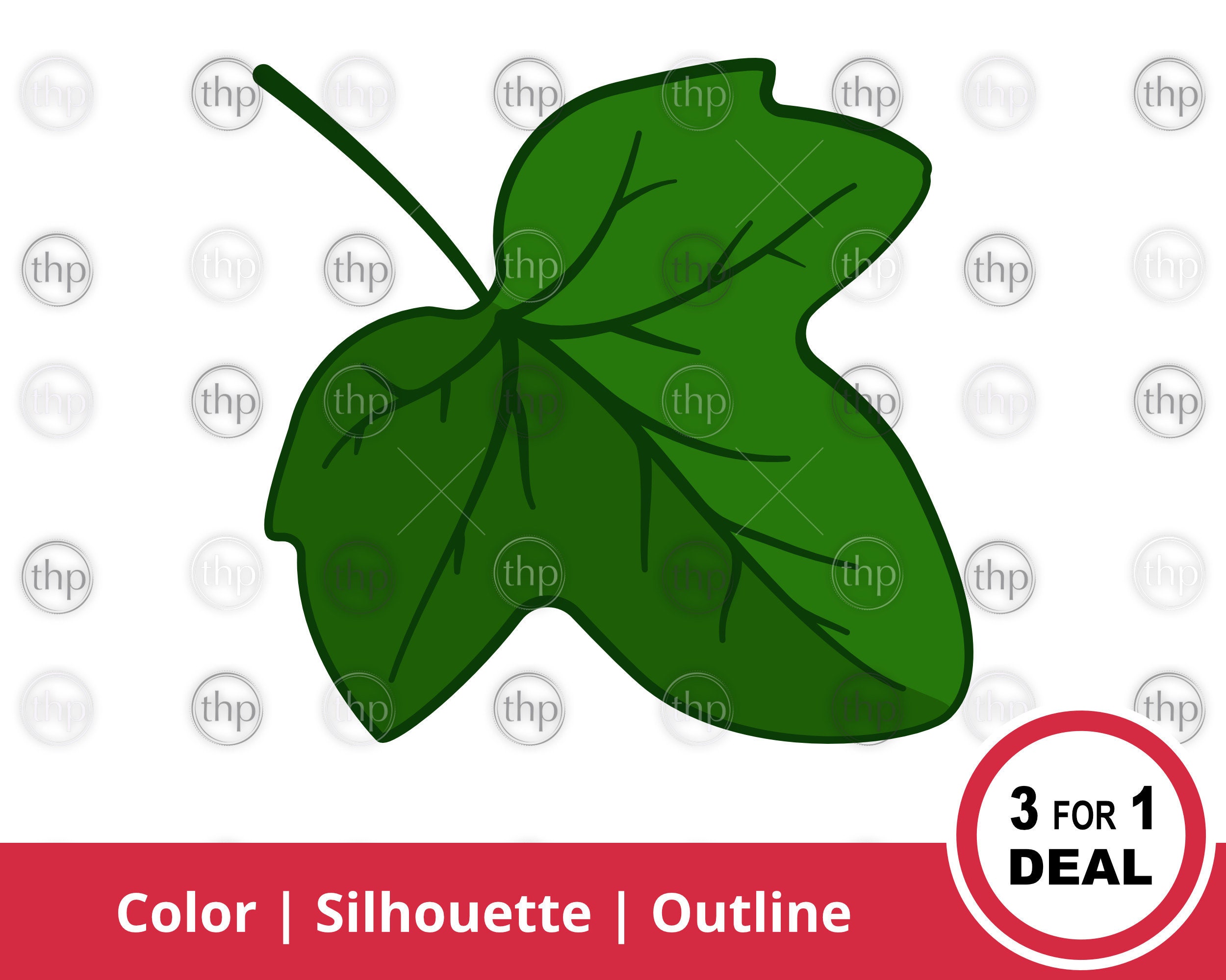 Ivy SVG, Leaf SVG Vector and Clipart Files