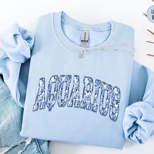 Aquarius Sweatshirt, Zodiac Sign Sweatshirt, Chinoiserie Gift For Aquarius Birthday Gifts, Aquarius Hoodie, January Astrology Gift For Her