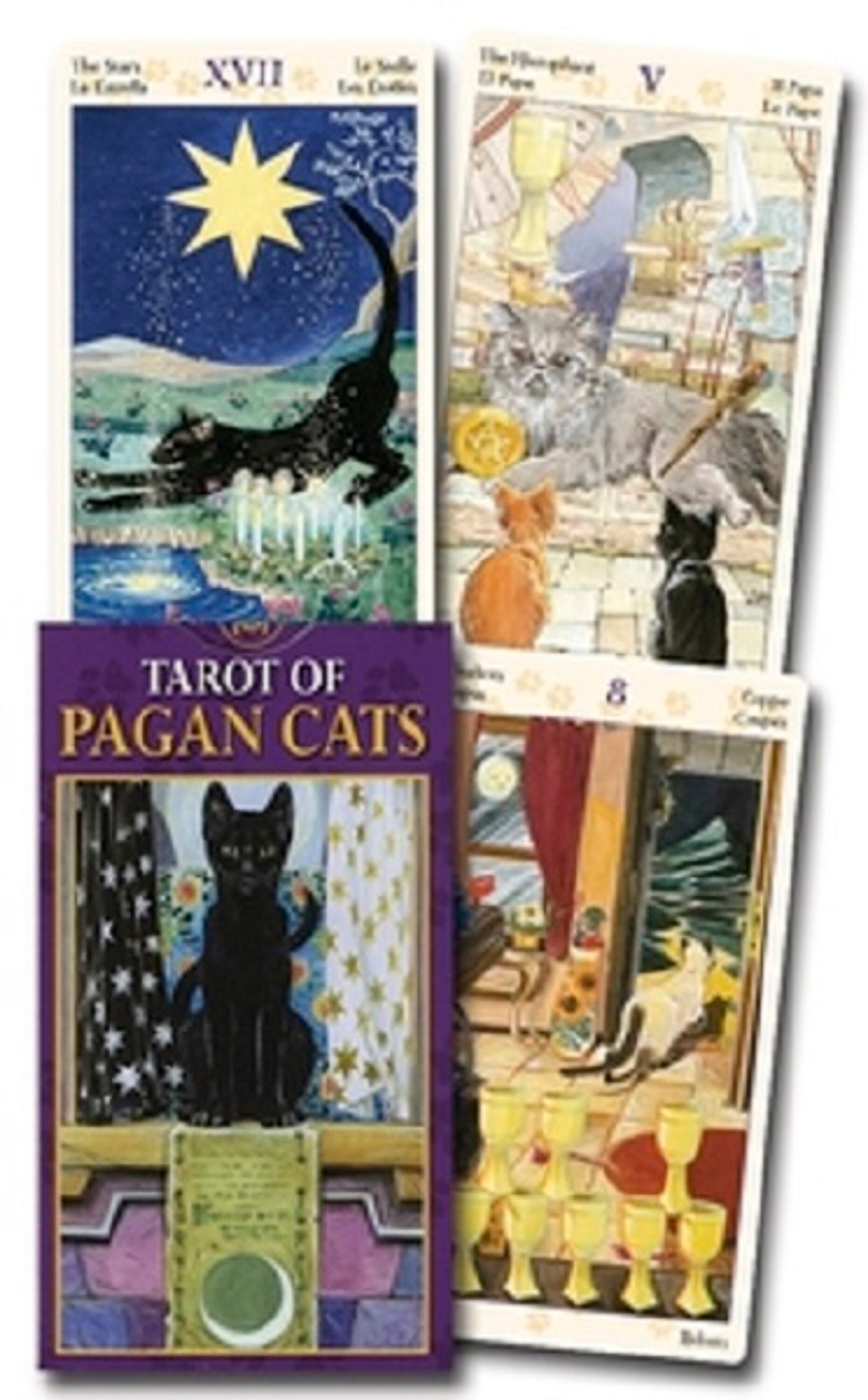 Tarot of Pagan Cats Full Size Deck Riderwaite Tradition Pagan Etsy