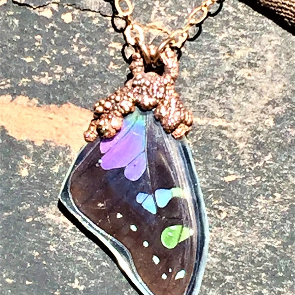 Real Butterfly Wing - Etsy