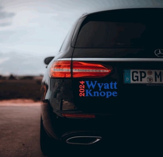 Ben Wyatt and Leslie Knope Presidential Campaign Vinyl