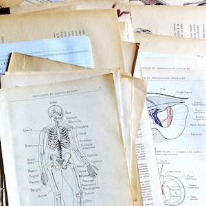 20 documents scientifiques et médicaux 1930-60 - Paper Bundle - Junk journal scrapbooking collages vintage ephemera craft anatomy science