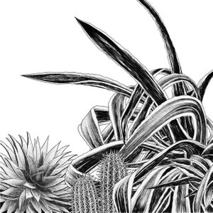 Cacti Wall Art / Botanical Cactus Print / Black and White Home Decor image 2