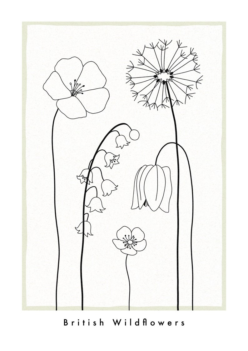 British Wildflowers Abstract Wall Art / Botanical Floral Line Drawing Print / Minimalist Neutral Home Decor image 2