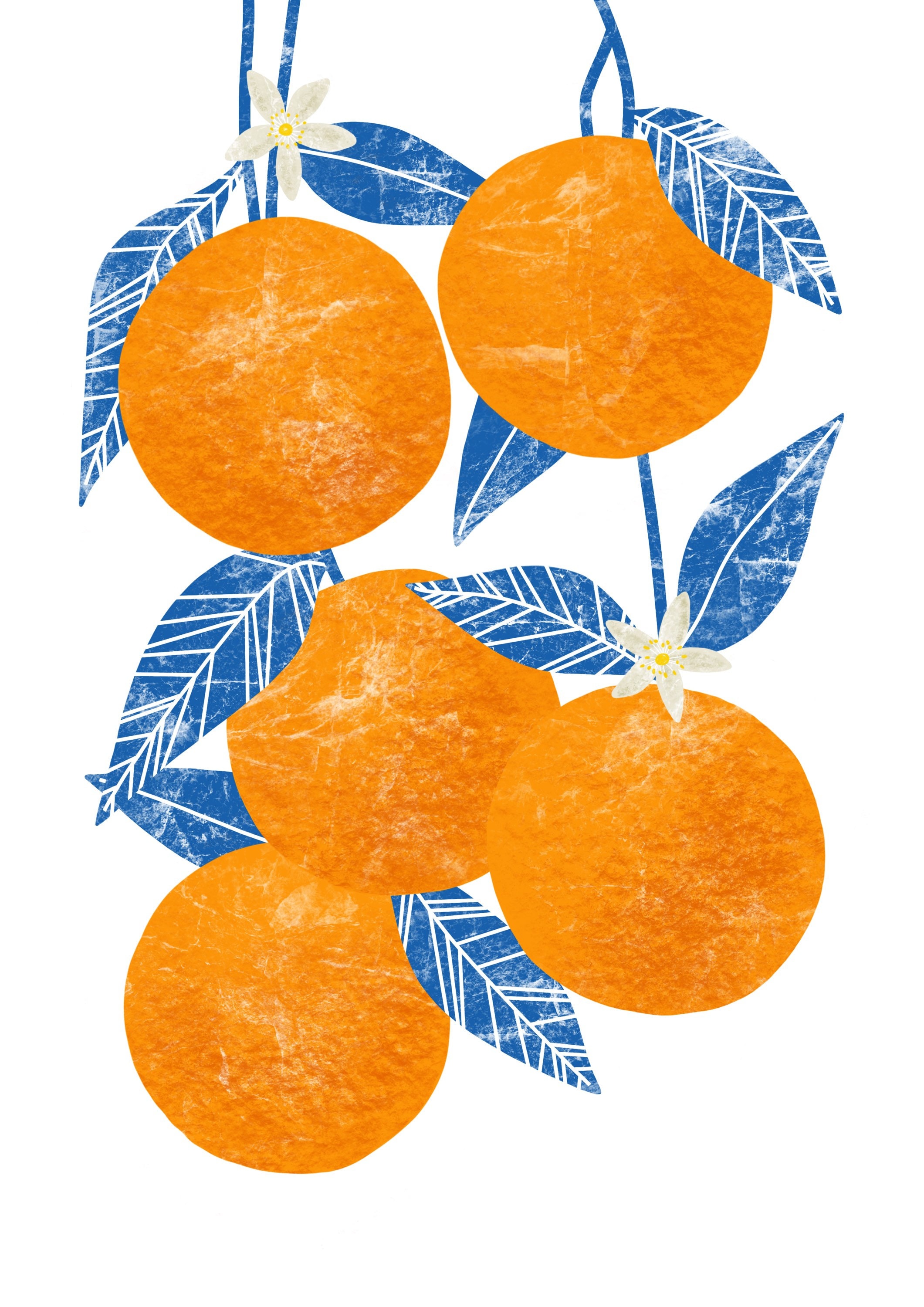 Citrus Blue Kitchen Art Orange - Fruit Oranges Etsy Decor / Home Blossom Botanical Print / Wall / Print and Abstract Orange Art /
