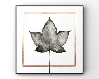 Sycamore Leaf Wall Art / Botanical Nature Print