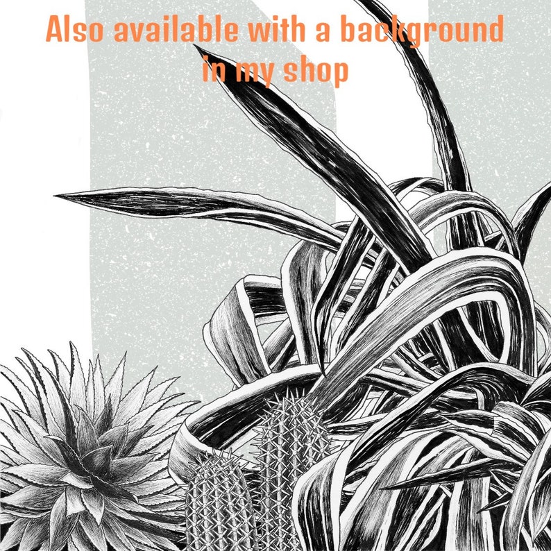 Cacti Wall Art / Botanical Cactus Print / Black and White Home Decor image 3