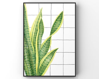 Green Snake Plant Dracaena Wall Art / Mother In Law’s Tongue Botanical Nature Print / House Plant Home Decor