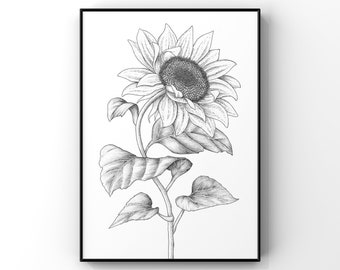 Sunflower Wall Art / Floral Botanical Print / Black and White Home Decor