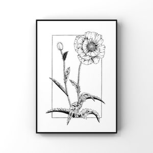 Abstract Poppy Wall Art / Botanical Floral Print / Black and White Home Decor / Lino Style Illustration