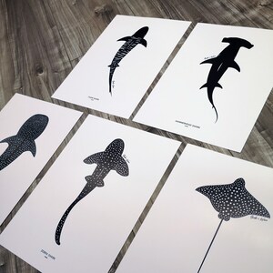 Ocean Art Print Set, Shark Wall Art, Hammerhead Shark, Whale Shark ...