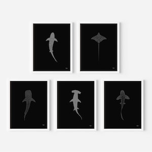 Sharks Art Print Set Whale Shark Poster Instant Download Hammerhead Ray Wall art Tiger Shark Illustration Zebra shark print Ocean wallpaper